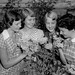 Jan Hayes Photo 24
