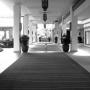 Michael Kitchens Photo 10