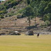Catherine Field Photo 9