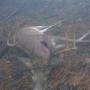 Steven Barbour Photo 24