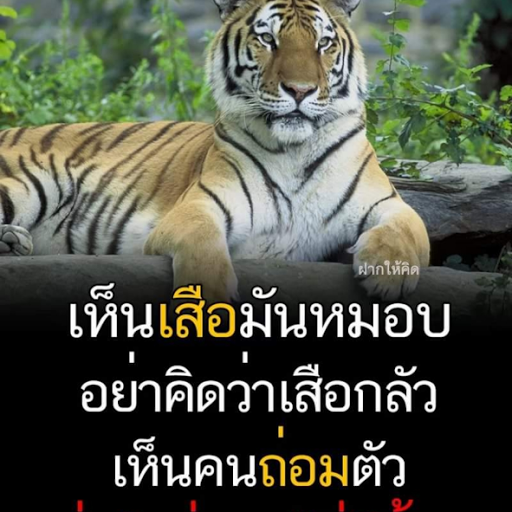 Hui Hui Photo 10