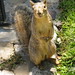 Mark Rector Photo 24