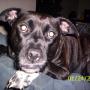 Sherry Mercer Photo 16
