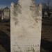 Ann Reynolds Photo 39