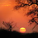 Sandra Kruger Photo 30