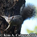 Kim Cabrera Photo 22