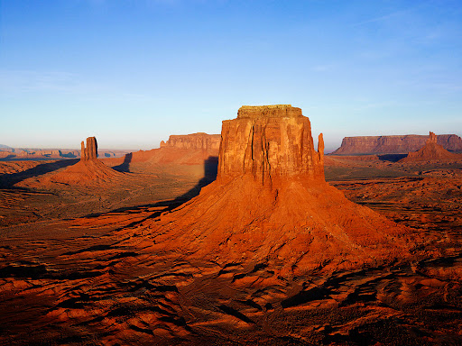 David Stepp Photo 26