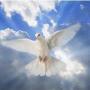 Nancy Greene Photo 40
