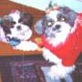 Judy Ward Photo 10