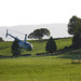 Ruthann Robinson Photo 20