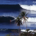 Steve Fitzpatrick Photo 15
