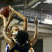 Denise Jenkins Photo 8