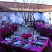 Ann Martinelli Photo 20
