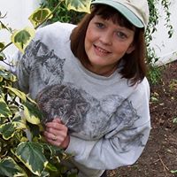Paula Stringer Photo 23