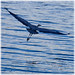 Robert Engle Photo 40