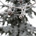 Steven Chestnut Photo 26