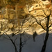 Barrington Simon Photo 5