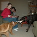 Sam Sheldon Photo 23