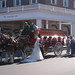 Kathryn Busch Photo 5
