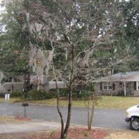 Donna Matlock Photo 28