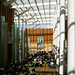 Stephen Pedersen Photo 15
