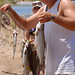 Willie Stringer Photo 8