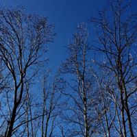 Mary Parrott Photo 17