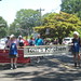 Toni Cook Photo 42