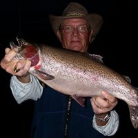 Ronald Todd Photo 23