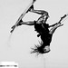 Shawn Foster Photo 45