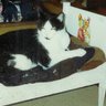 Kathleen Myers Photo 29