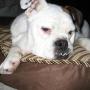 Sherry Schaefer Photo 35