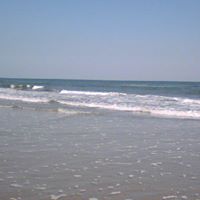Debbie Albright Photo 10