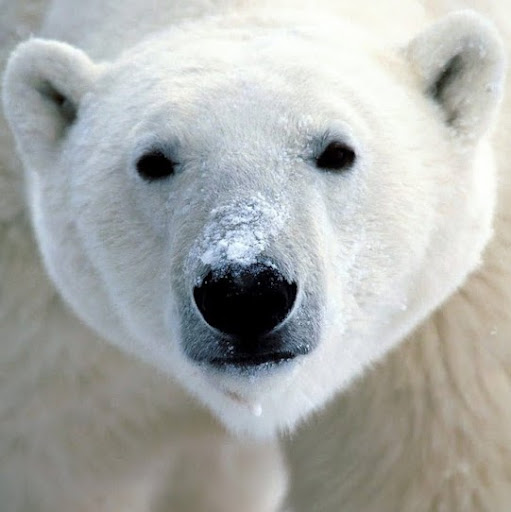 David Eidson Photo 31