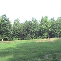 Annette Howell Photo 23