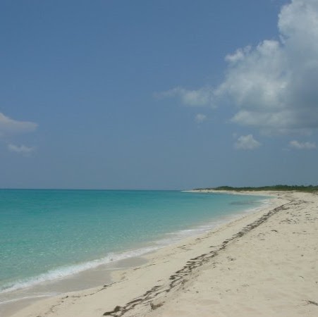 Patricia Salinas Photo 31