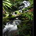 Lynn Fall Photo 7