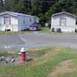 Willie Cook Photo 22
