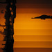 Annette Meyers Photo 10