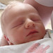 James Rowan Photo 16