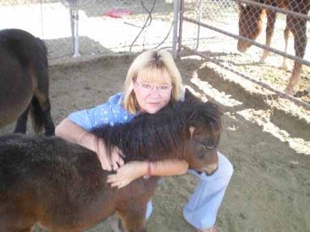 Sue Davis Photo 13