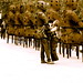 Stephen Duda Photo 9