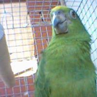 Cassandra Mohammed Photo 8