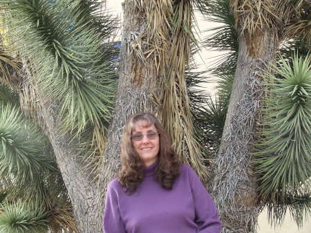 Deborah Cobb Photo 30