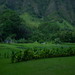 Raymond Land Photo 9