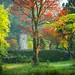 Robert Wert Photo 2