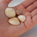 Danny Shell Photo 8