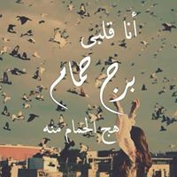 Mohamed Mohammed Photo 4