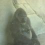 Nathaniel Guy Photo 3