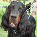 Cheryl Groves Photo 14